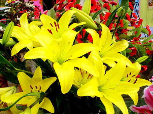 风水易经方面的知识在哪里看